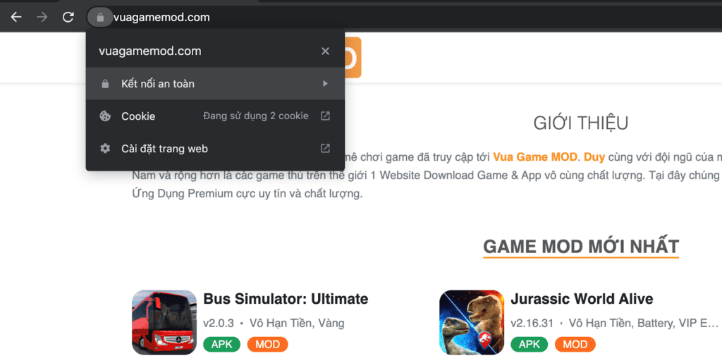 Cài đặt SSL và Giao diện Website